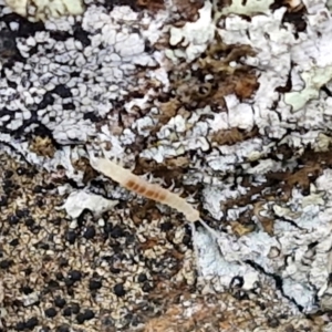 Unverified at suppressed - suppressed