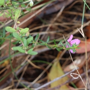 Unidentified at suppressed - 7 Sep 2024