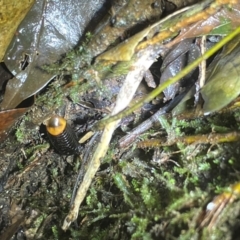 Unverified at suppressed - suppressed