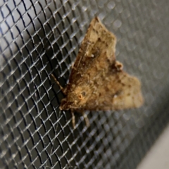 Unverified at suppressed - suppressed