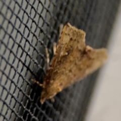 Unverified at suppressed - suppressed