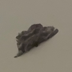 Unverified at suppressed - suppressed