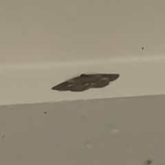 Unverified at suppressed - suppressed