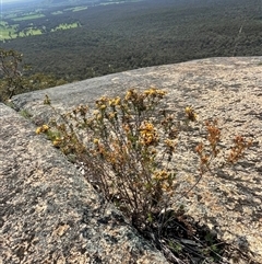 Unidentified at suppressed - 10 Sep 2024