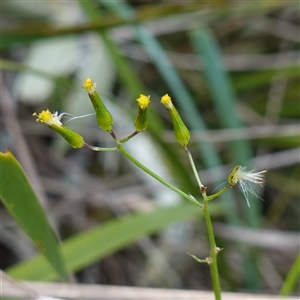 Unidentified at suppressed - 11 Sep 2024