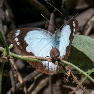 Unidentified at suppressed - 19 Jun 2024