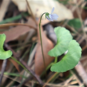 Unidentified at suppressed - 14 Sep 2024