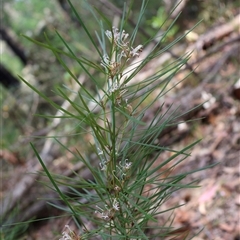 Unverified at suppressed - suppressed