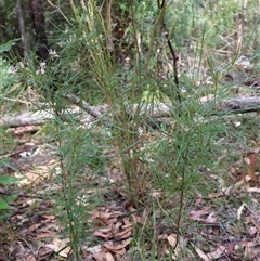 Unverified at suppressed - suppressed