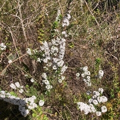 Unverified at suppressed - suppressed