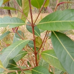 Unverified at suppressed - suppressed