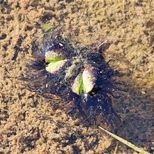 Unverified at suppressed - suppressed