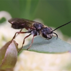 Unverified at suppressed - suppressed