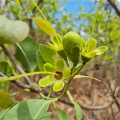 Unidentified at suppressed - 20 Sep 2024