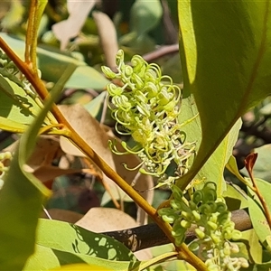 Unverified at suppressed - suppressed