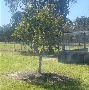 Unverified at suppressed - suppressed