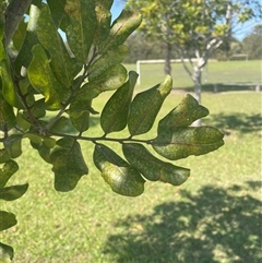 Unverified at suppressed - suppressed