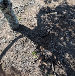 Unverified at suppressed - suppressed