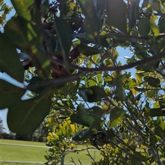 Unverified at suppressed - suppressed