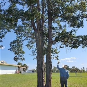 Unidentified at suppressed - 21 Sep 2024