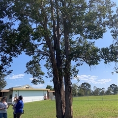 Unverified at suppressed - suppressed