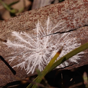 Unidentified at suppressed - 20 Sep 2024