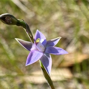 Unidentified at suppressed - 22 Sep 2023