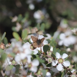 Unverified at suppressed - suppressed