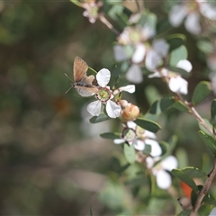 Unidentified at suppressed - 18 Sep 2024