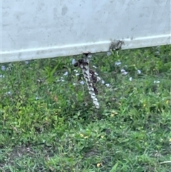 Unverified at suppressed - suppressed