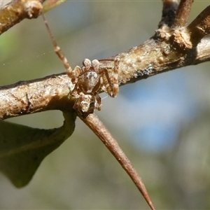 Unidentified at suppressed - 23 Sep 2024