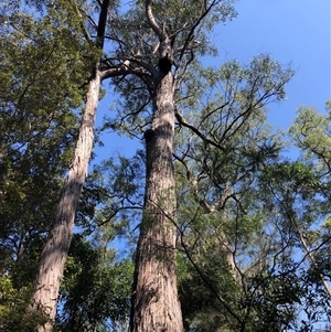 Unverified at suppressed - suppressed