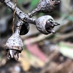 Unverified at suppressed - suppressed