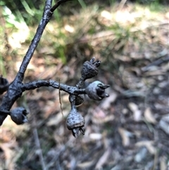 Unverified at suppressed - suppressed