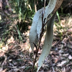 Unverified at suppressed - suppressed