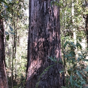 Unverified at suppressed - suppressed