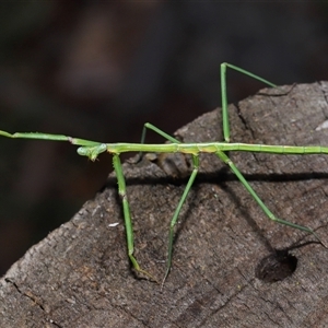 Unidentified at suppressed - 17 Aug 2024