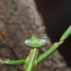 Unidentified at suppressed - 17 Aug 2024