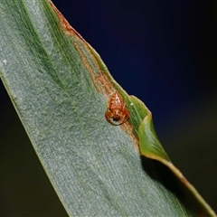 Unidentified at suppressed - 3 Aug 2024