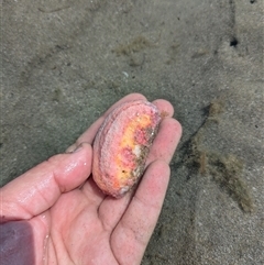 Unverified at suppressed - suppressed