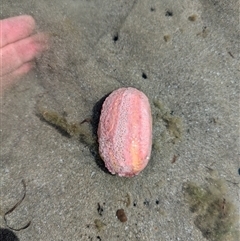 Unverified at suppressed - suppressed