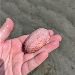 Unverified at suppressed - suppressed