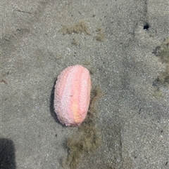 Unverified at suppressed - suppressed