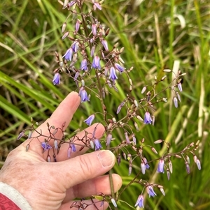 Unidentified at suppressed - 27 Sep 2024