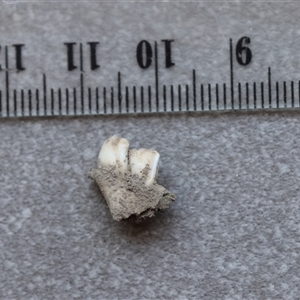 Unidentified at suppressed - 27 Sep 2024