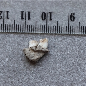 Unidentified at suppressed - 27 Sep 2024