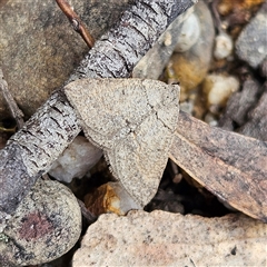 Unverified at suppressed - suppressed