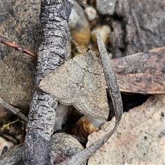 Unverified at suppressed - suppressed