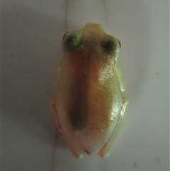 Unverified at suppressed - suppressed