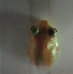 Unverified at suppressed - suppressed